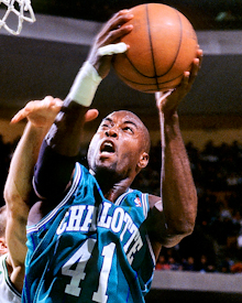 格伦-莱斯/Glen Rice