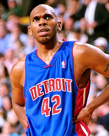 杰里-斯塔克豪斯/Jerry Stackhouse